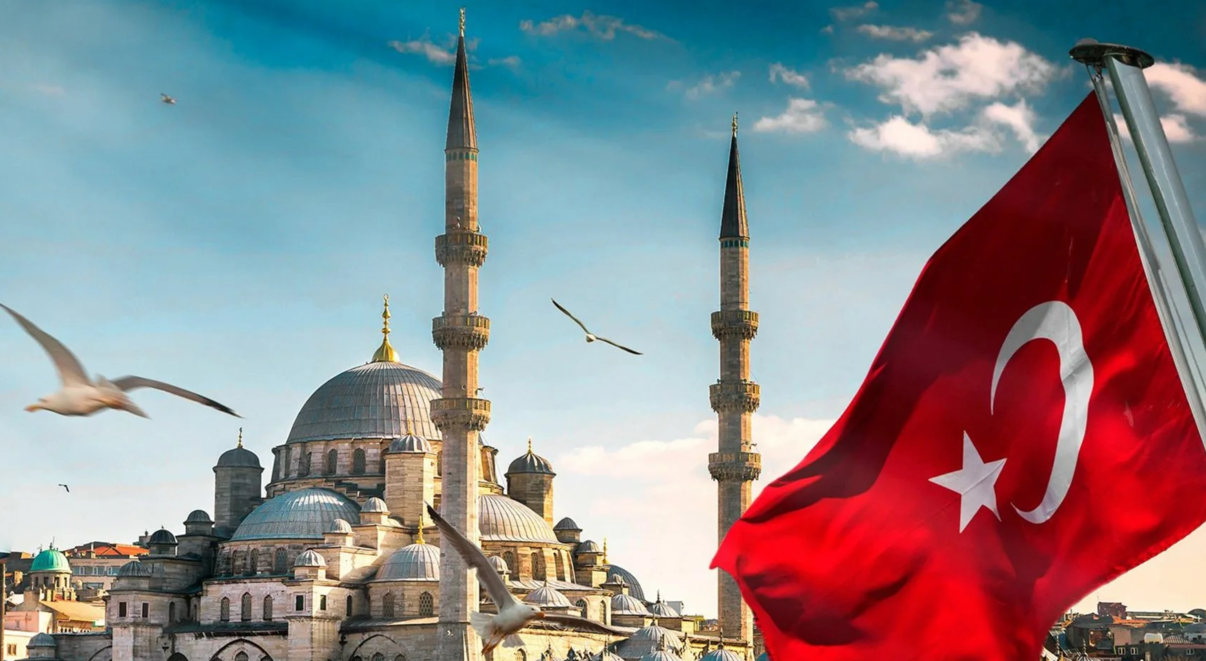 main-banner-img